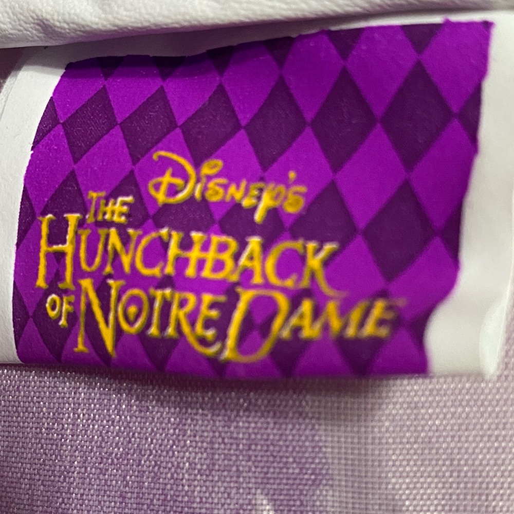 Disney Hunchback of Notre Dame Colorful Backpack - Picture 8 of 9